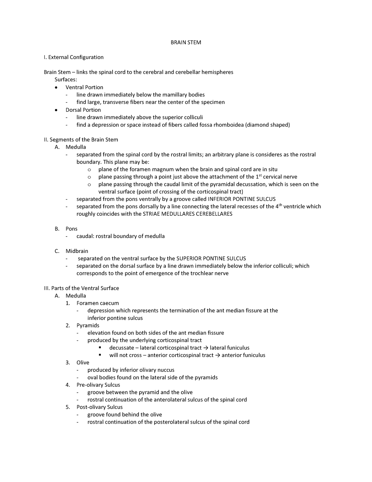 brain-stem-notes-brain-stem-i-external-configuration-brain-stem