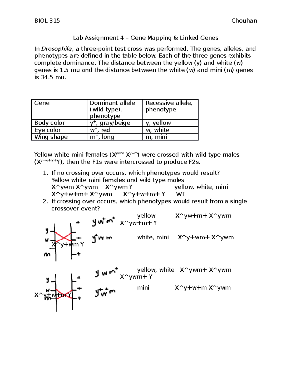 Lab Assignment 4 YWM (2) 2 Lab Assignment 4 Gene Mapping & Linked
