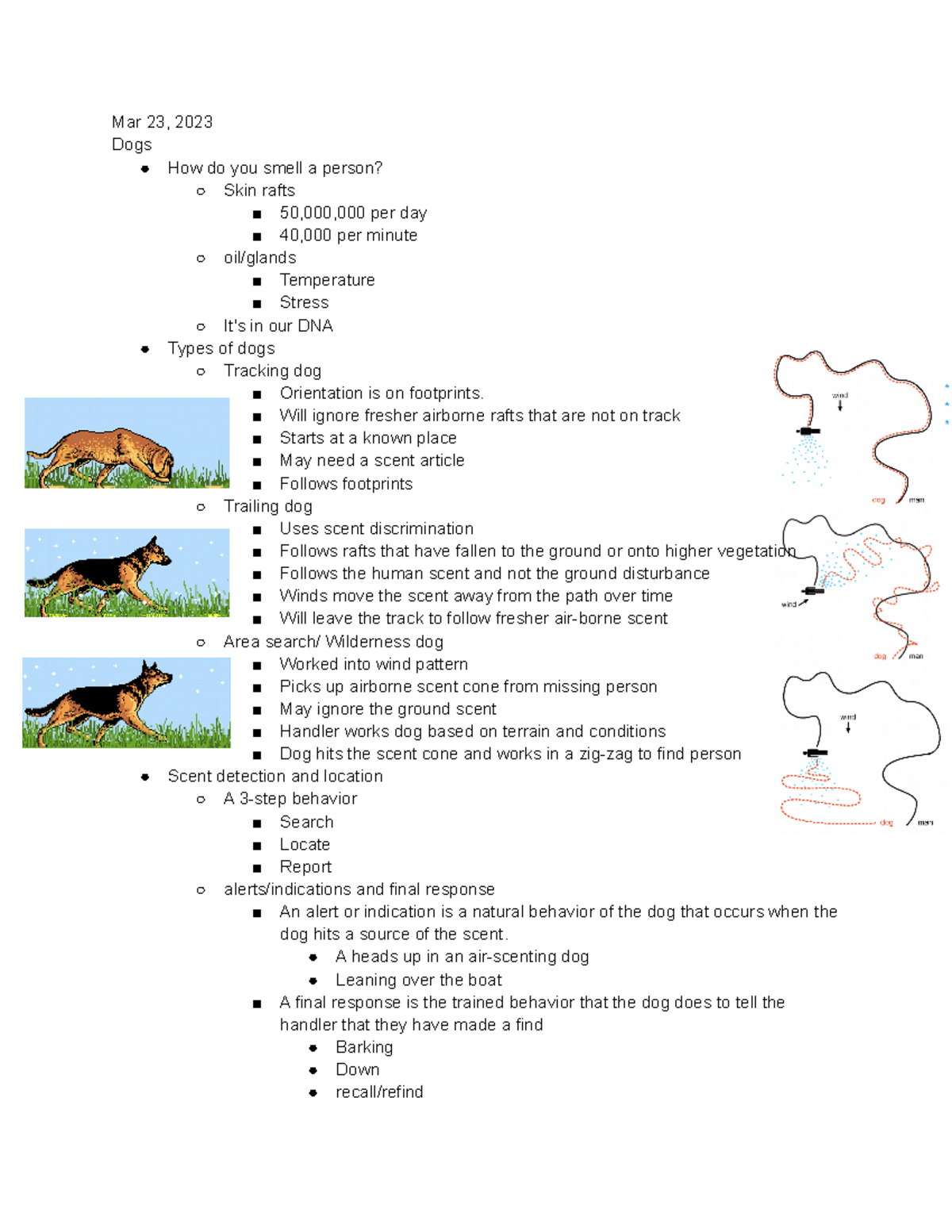 W3 L K9Sensus Greubel - lecture for professor skarr - Mar 23, 2023 Dogs ...