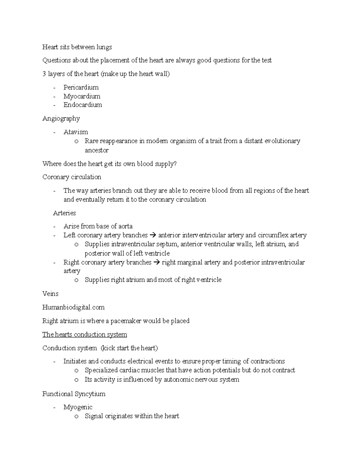 heart-physiology-heart-sits-between-lungs-questions-about-the