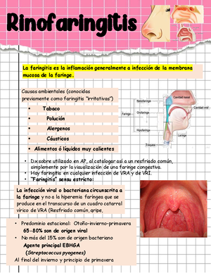 Itzelrfc - DAGSGDSDFGASFVAERF - FOLIO: RF ACUSE DE PRE INSCRIPCIÓN AL ...