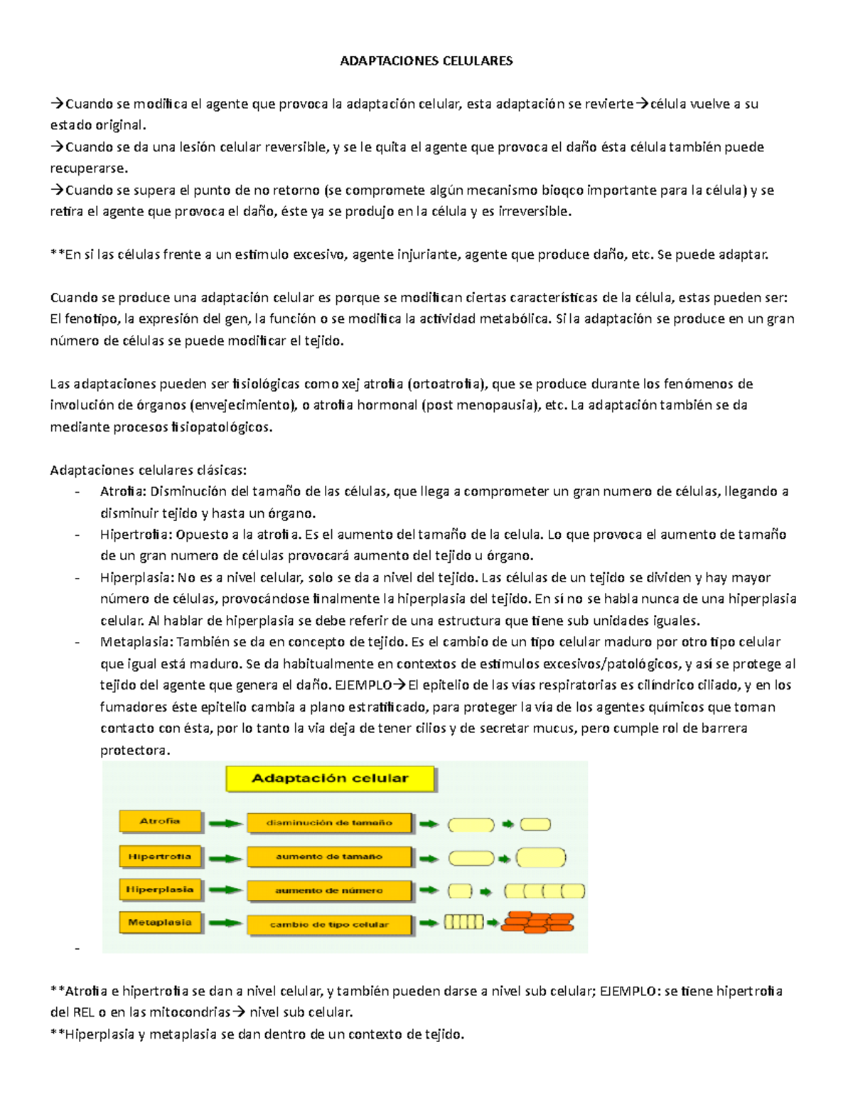 Adaptaciones Celulares ADAPTACIONES CELULARES Cuando Se Modifica El