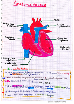 The cardiovascular system - blood - Recall that blood is a connective ...