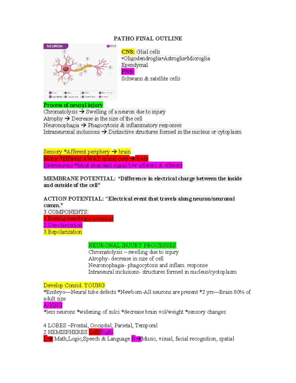 Patho Final Outline - Notes and lecture material - PATHO FINAL OUTLINE ...