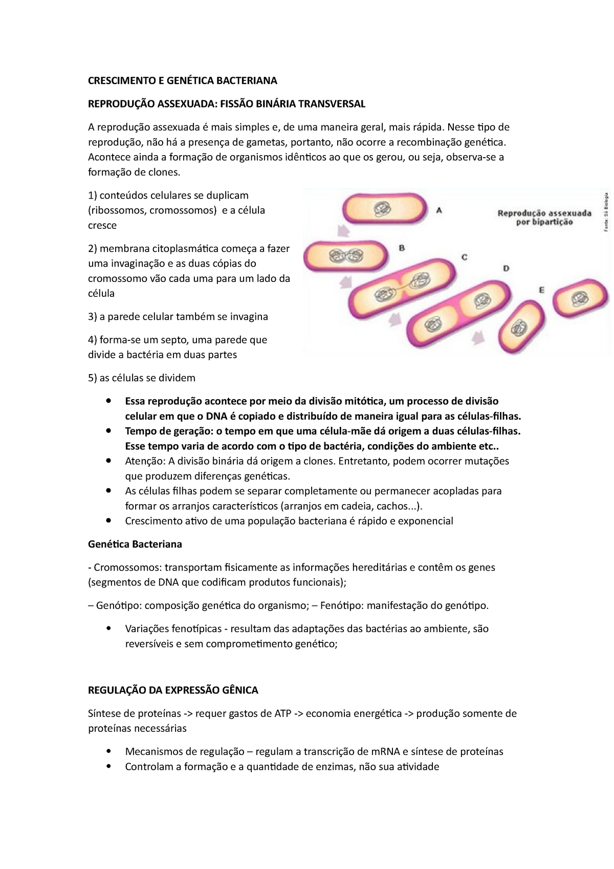 Crescimento E Genética Bacteriana Crescimento E GenÉtica Bacteriana ReproduÇÃo Assexuada 6208