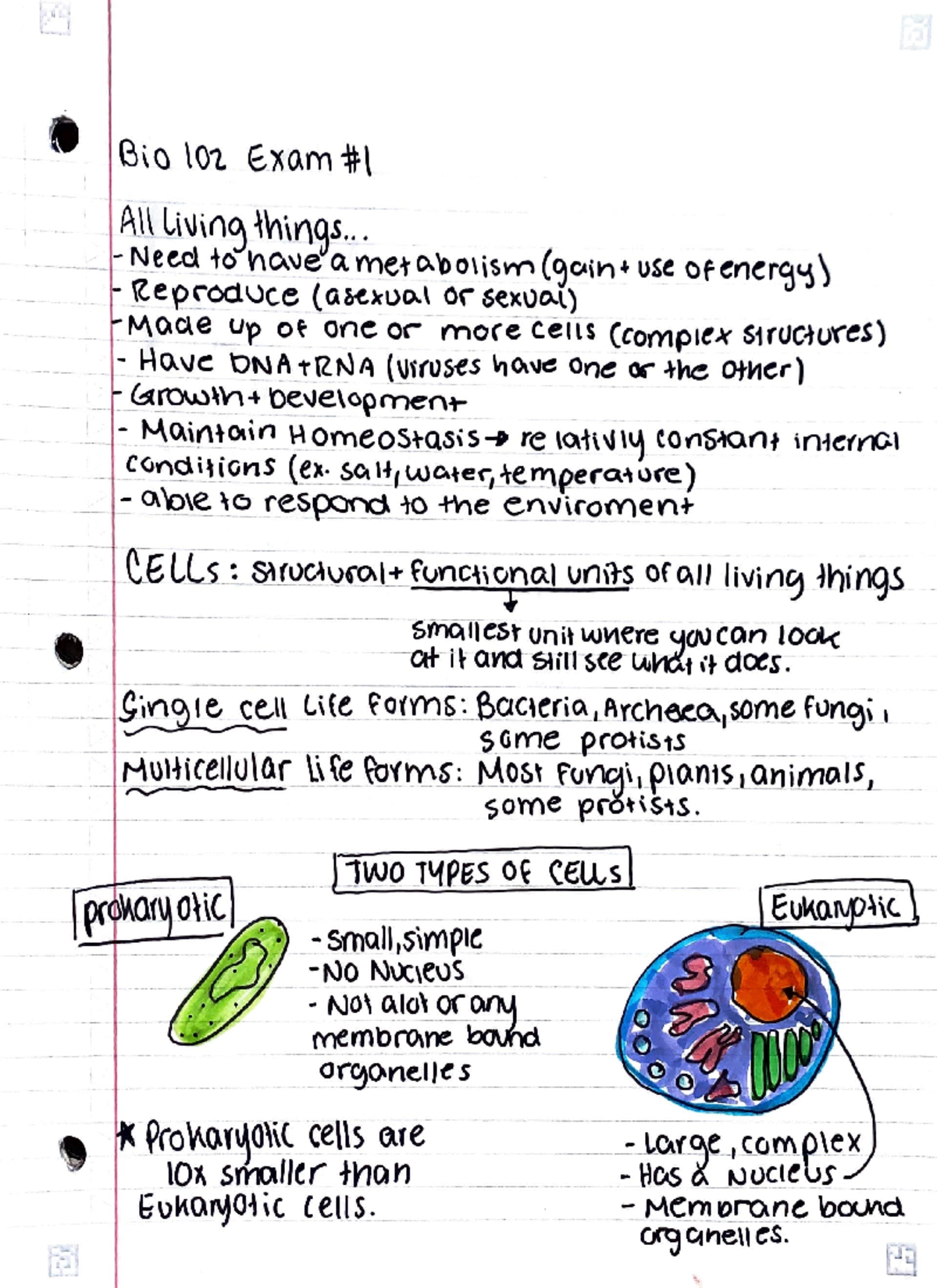 Functions of Living Organisms - Studocu