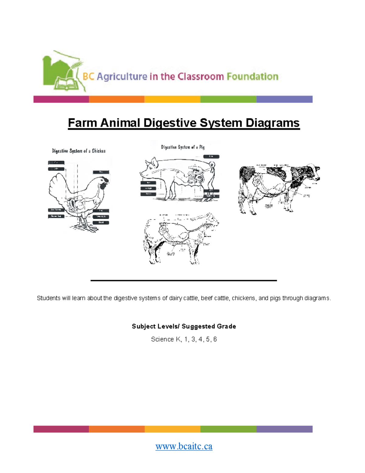 Farm Animal Digestive Systems Diagrams - Farm Animal Digestive System ...