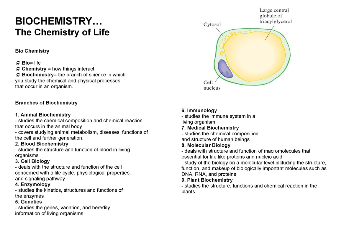 Biochemistry - Lecture Notes - BIOCHEMISTRY... The Chemistry Of Life ...