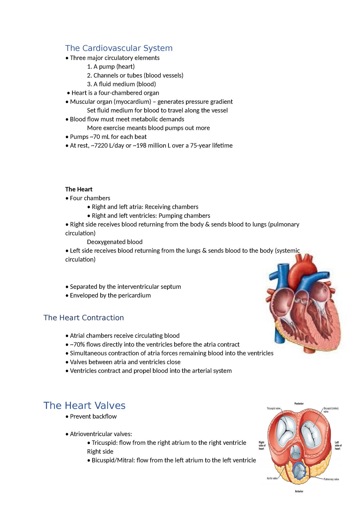 The Cardiovascular System lecture notes - The Cardiovascular System ...