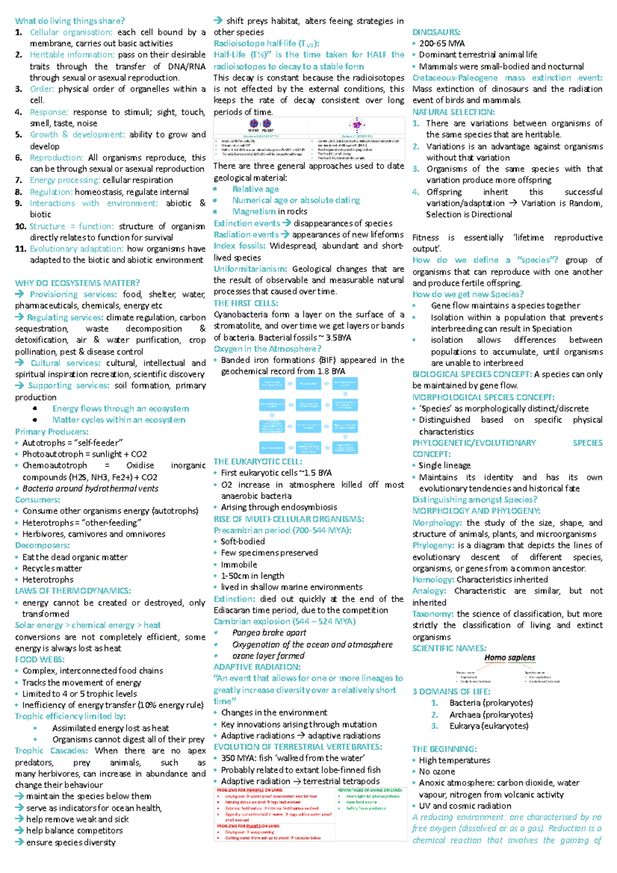 Quiz 1 cheat sheet - typed notes for practical quiz 1 covers lectures 1 ...