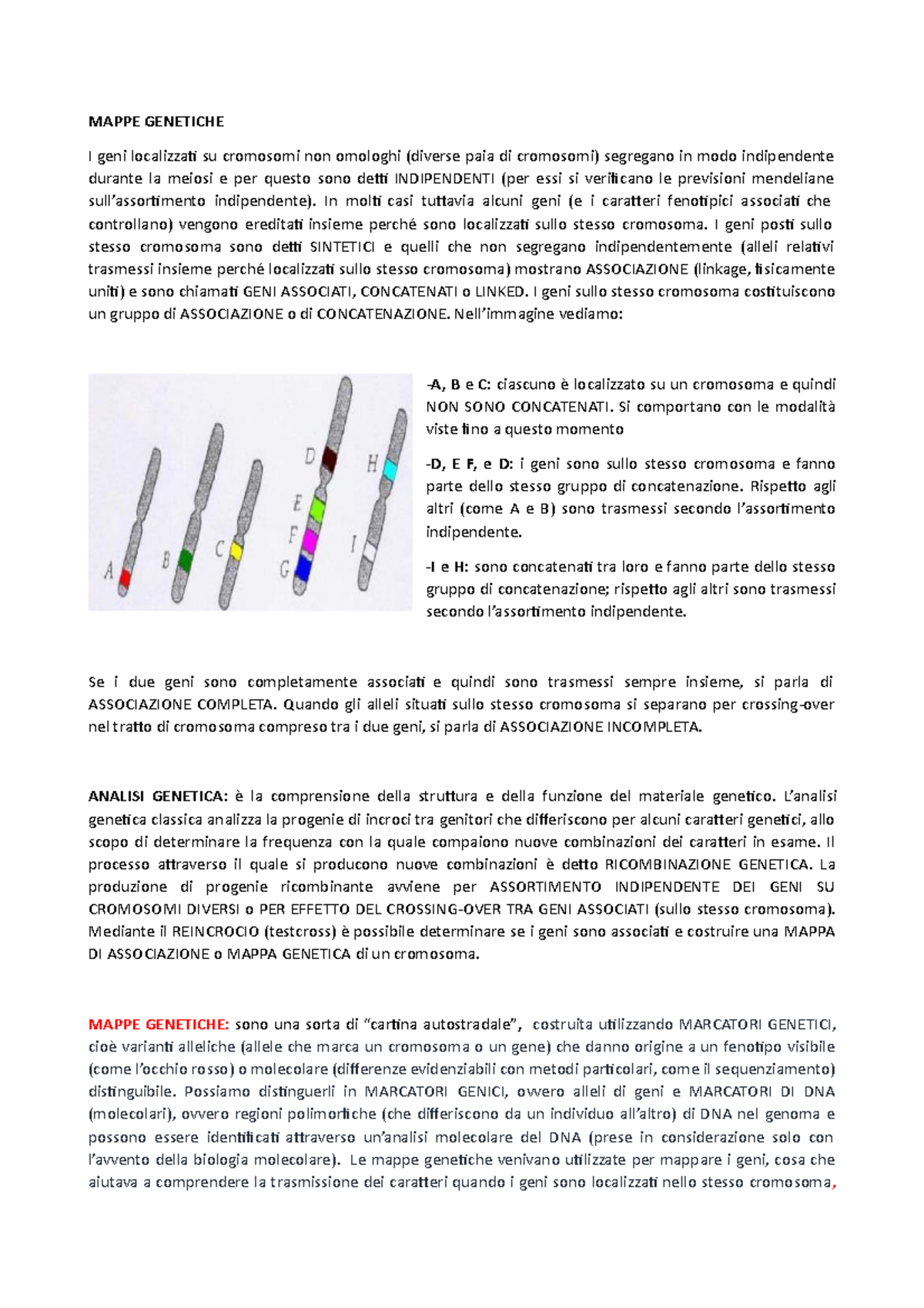 Mappe Genetiche - MAPPE GENETICHE I Geni Localizzati Su Cromosomi Non ...