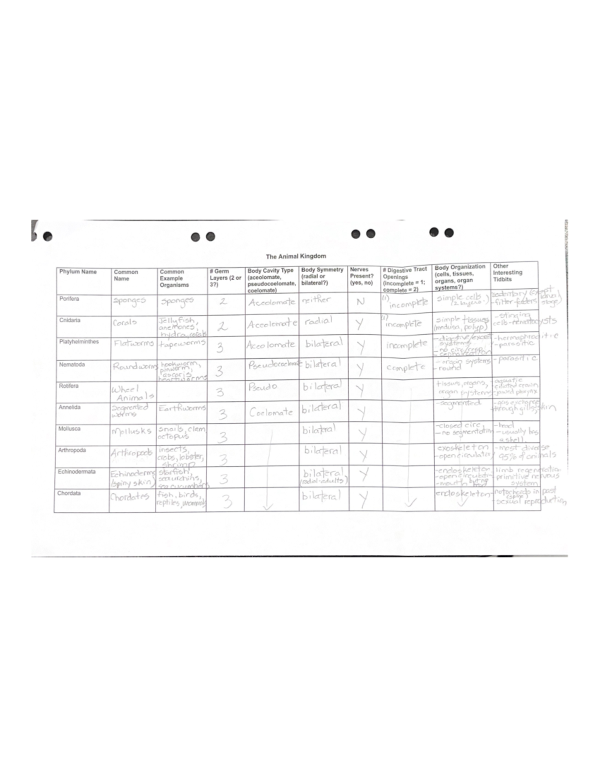 Kingdom Animalia Chart, Phylum Chordata Chart-Sample Answers - The ...