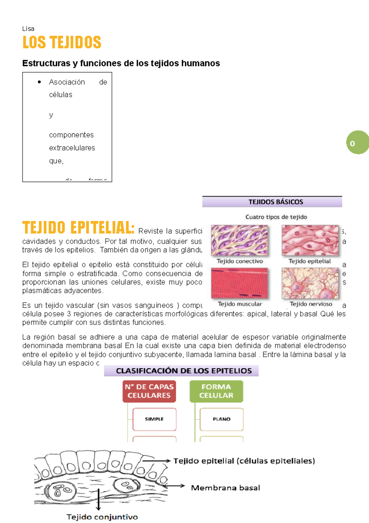 TejidosEstructuras y funciones de los tejidos humanos LOS TEJIDOS Estructuras y funciones de TejidosEstructuras y funciones de los tejidos humanos LOS TEJIDOS Estructuras y funciones de
