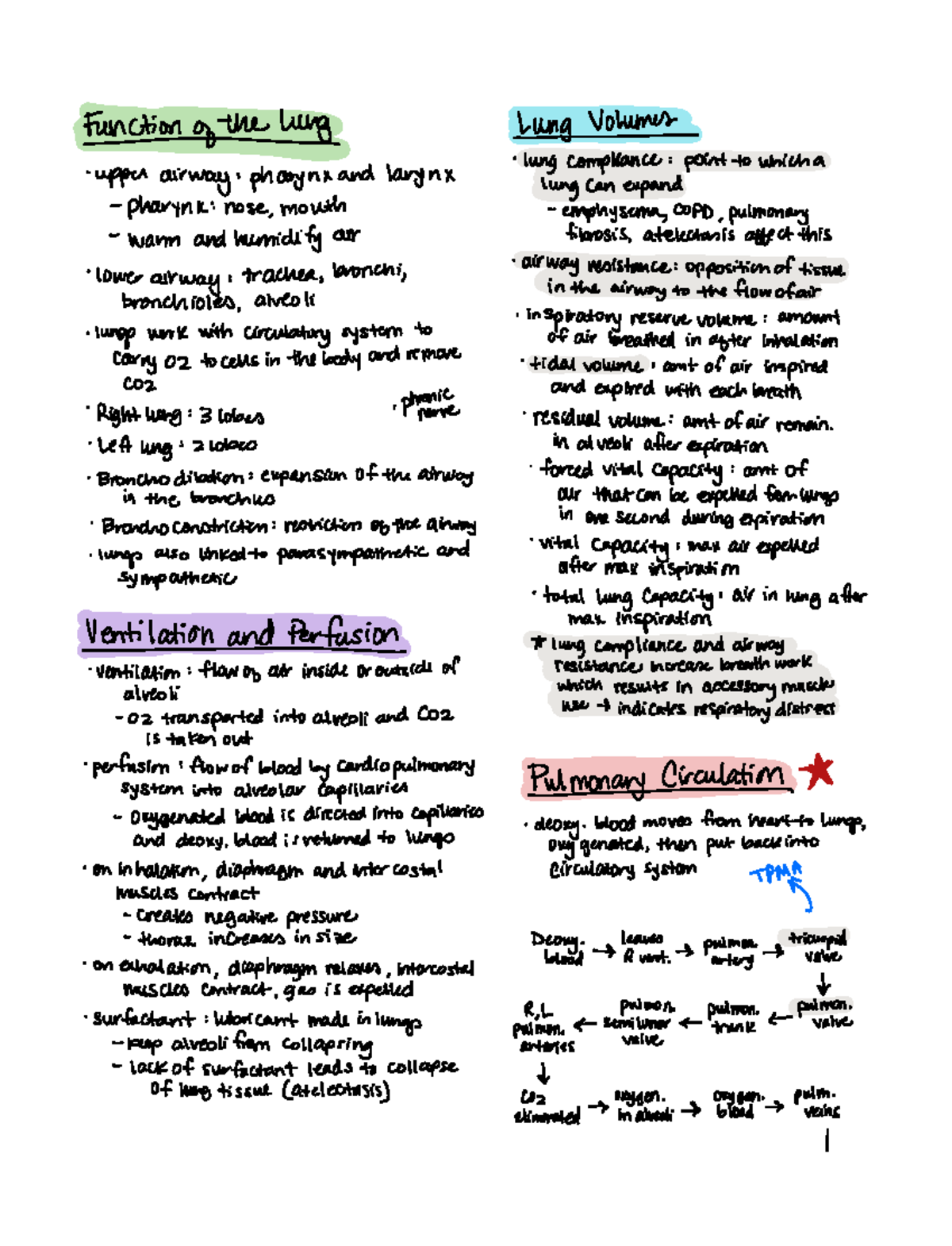 Oxygenation - Hardwick, Tucker, Silavent - Tppitigrigtputgntana larynx ...