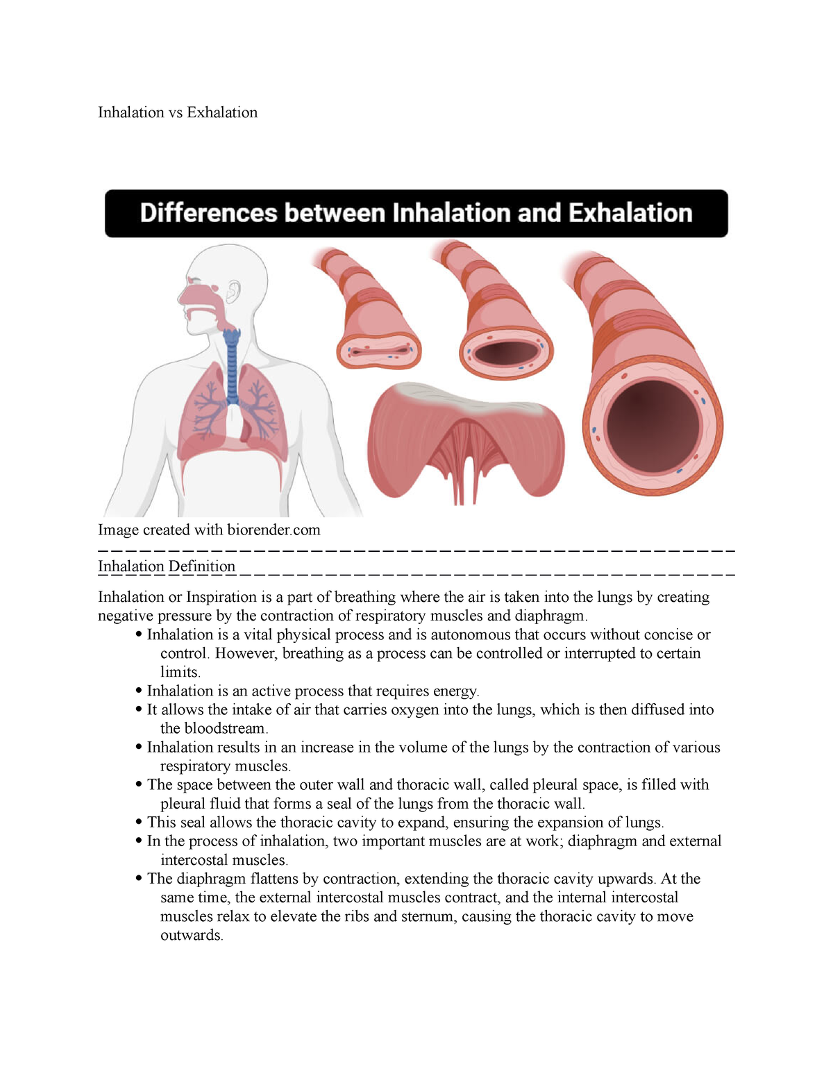 Biology Physics Chemistry - What is the difference between Inhalation and  Exhalation? • Inhalation is the intake of air into lungs, whereas  exhalation is the pushing out of air from lungs. •