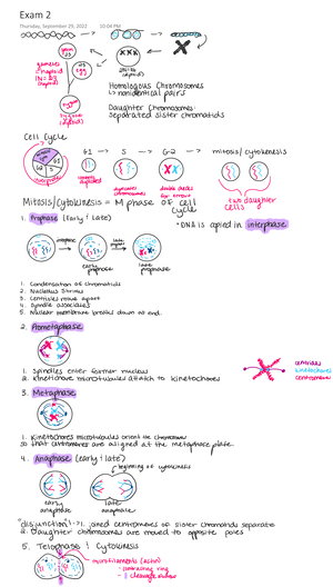 solved-what-is-amylase-bio-core-ii-genetics-bios-115-studocu