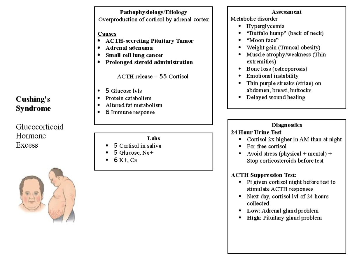 Cushing's Syndrome Cushing’s Syndrome Glucocorticoid Hormone Excess