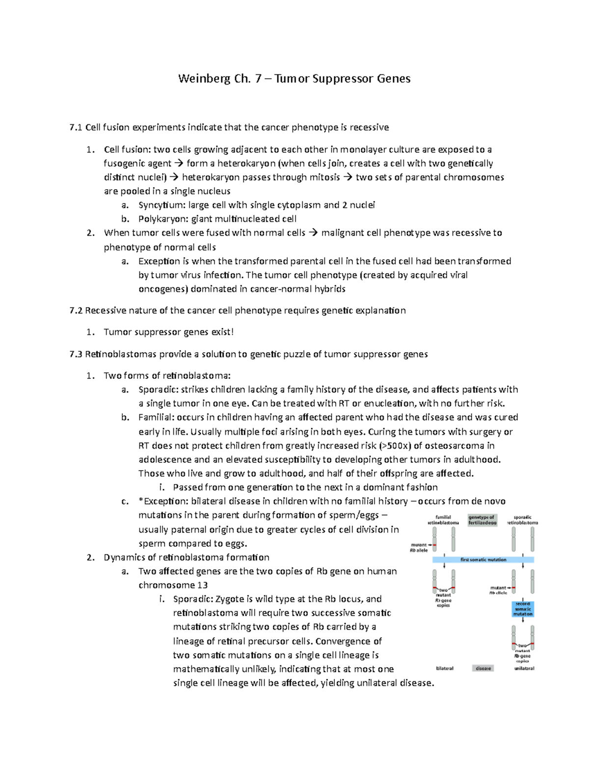 weinberg-ch-7-ek-chapter-summaries-weinberg-ch-7-tumor