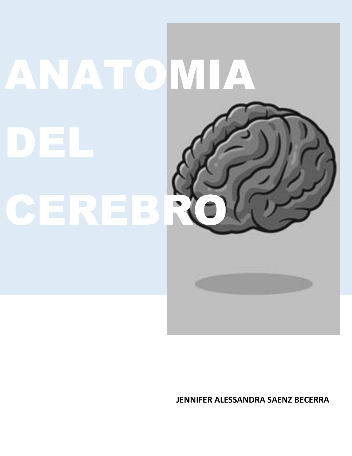 Anatomía Del Cerebro Humano Anatomia Del Cerebro Jennifer Alessandra Saenz Becerra Estructura 0050