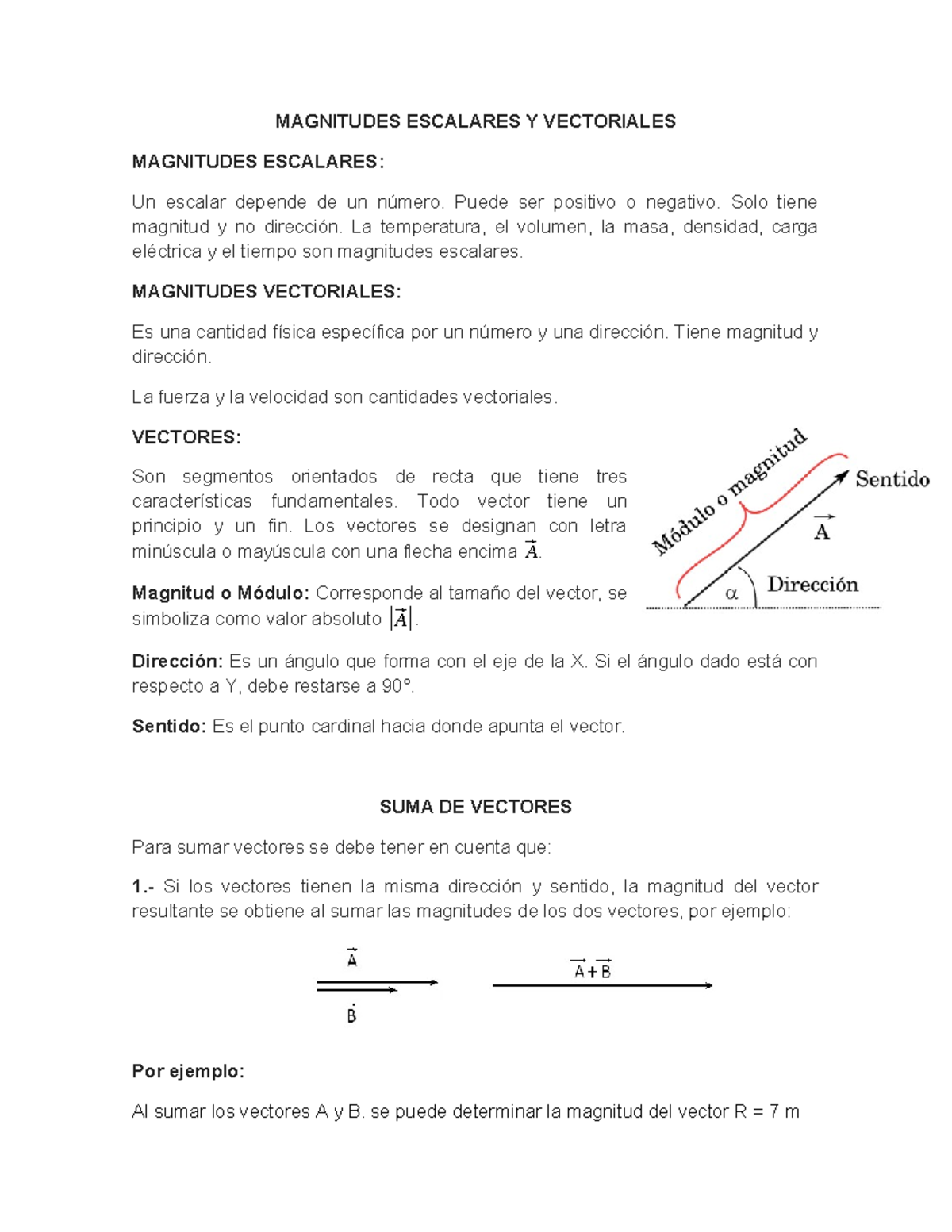 Magnitudes Escalares Y Vectoriales - MAGNITUDES ESCALARES Y VECTORIALES ...