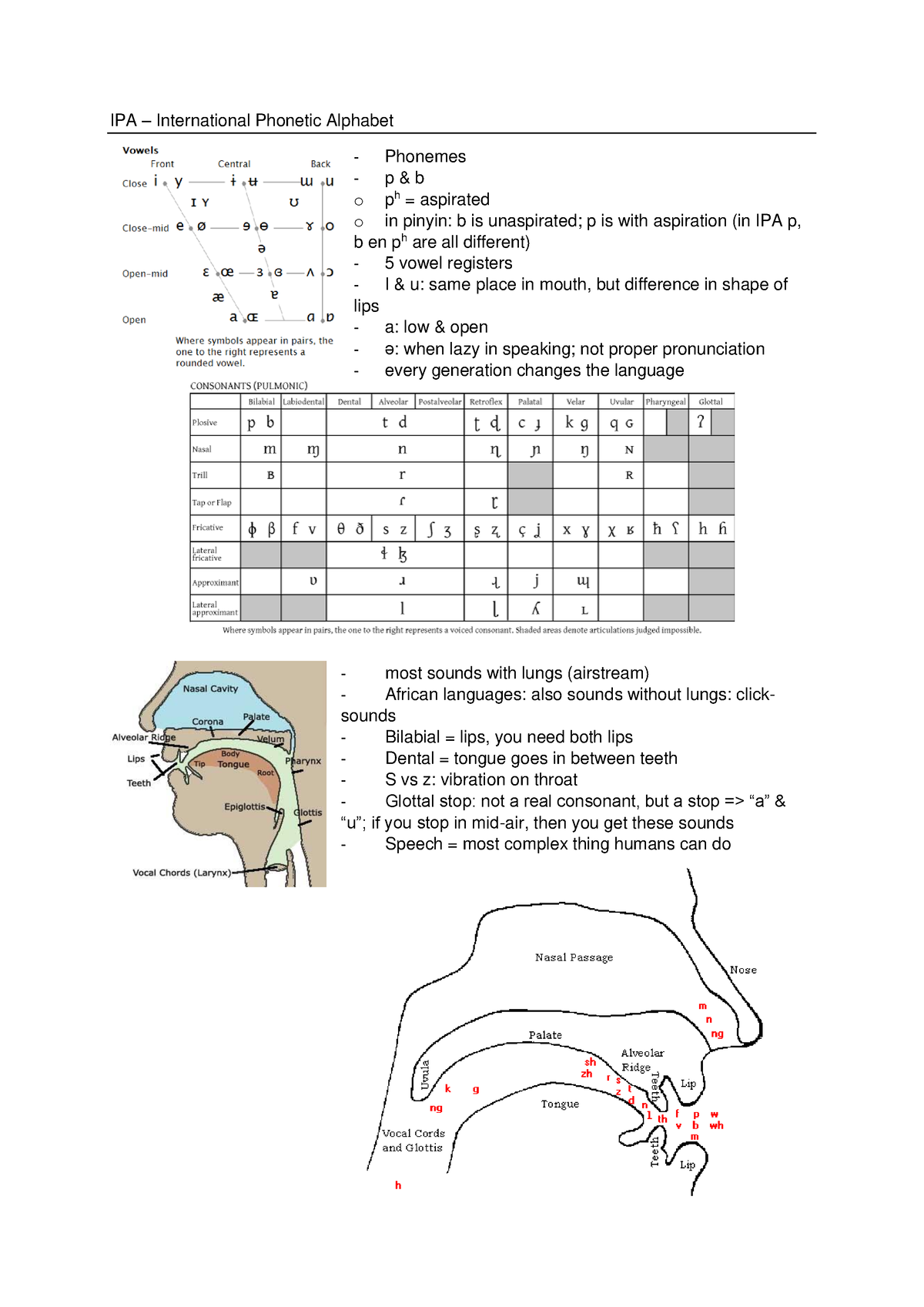 IPA – International Phonetic Alphabet - IPA – International Phonetic ...