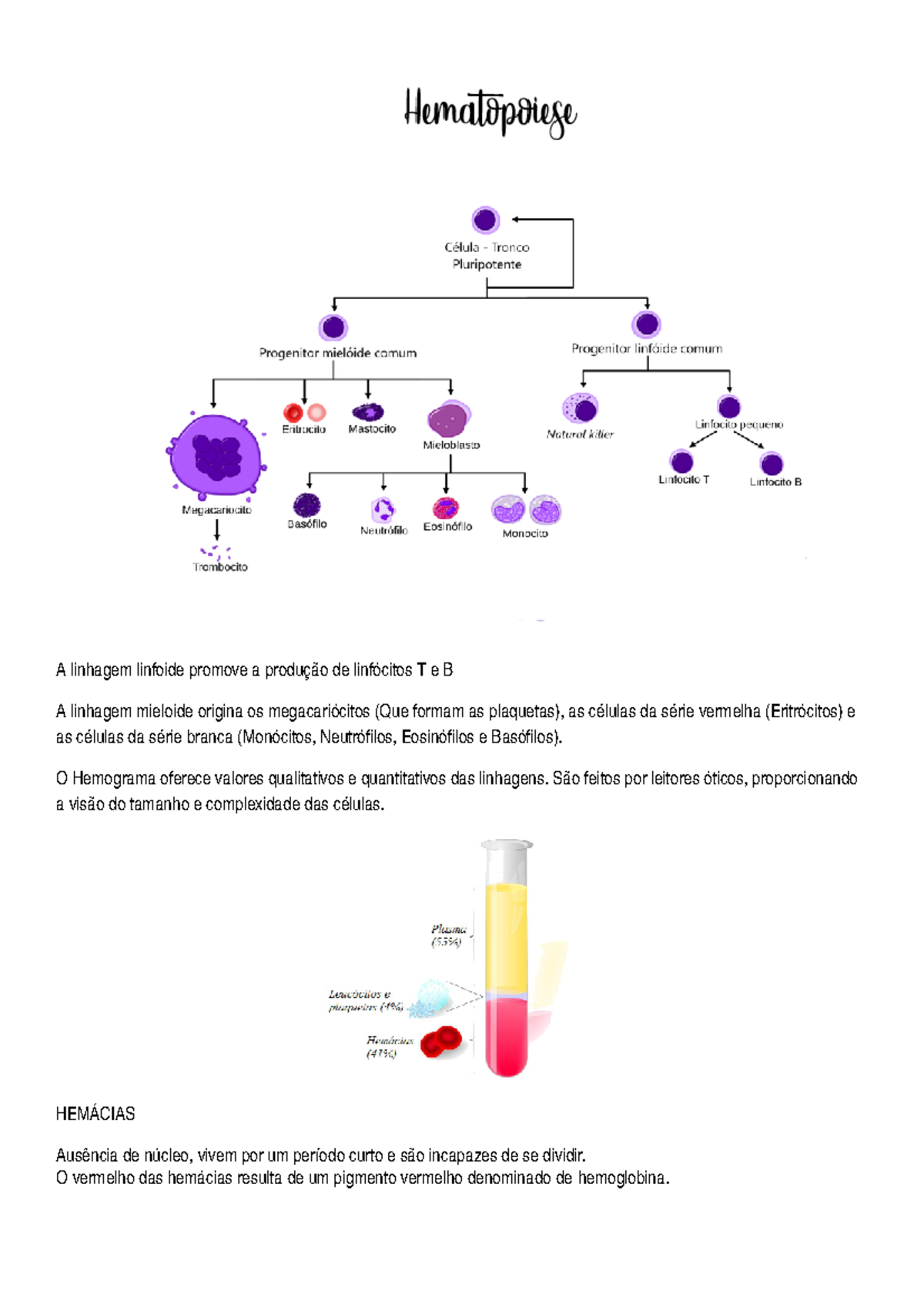 Caso Anemia Linhagem Linfoide Promove Produ De Linf Citos Linhagem Mieloide Studocu