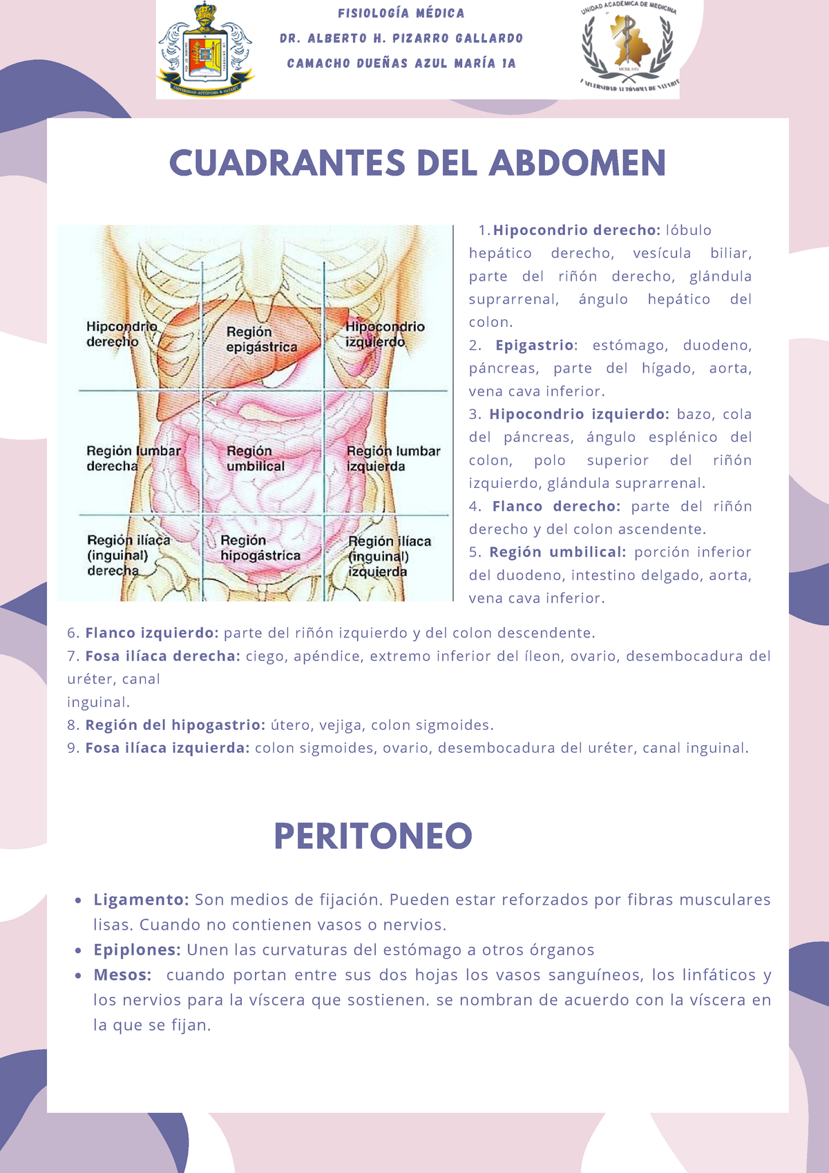 cuadrante de ubicación del páncreas