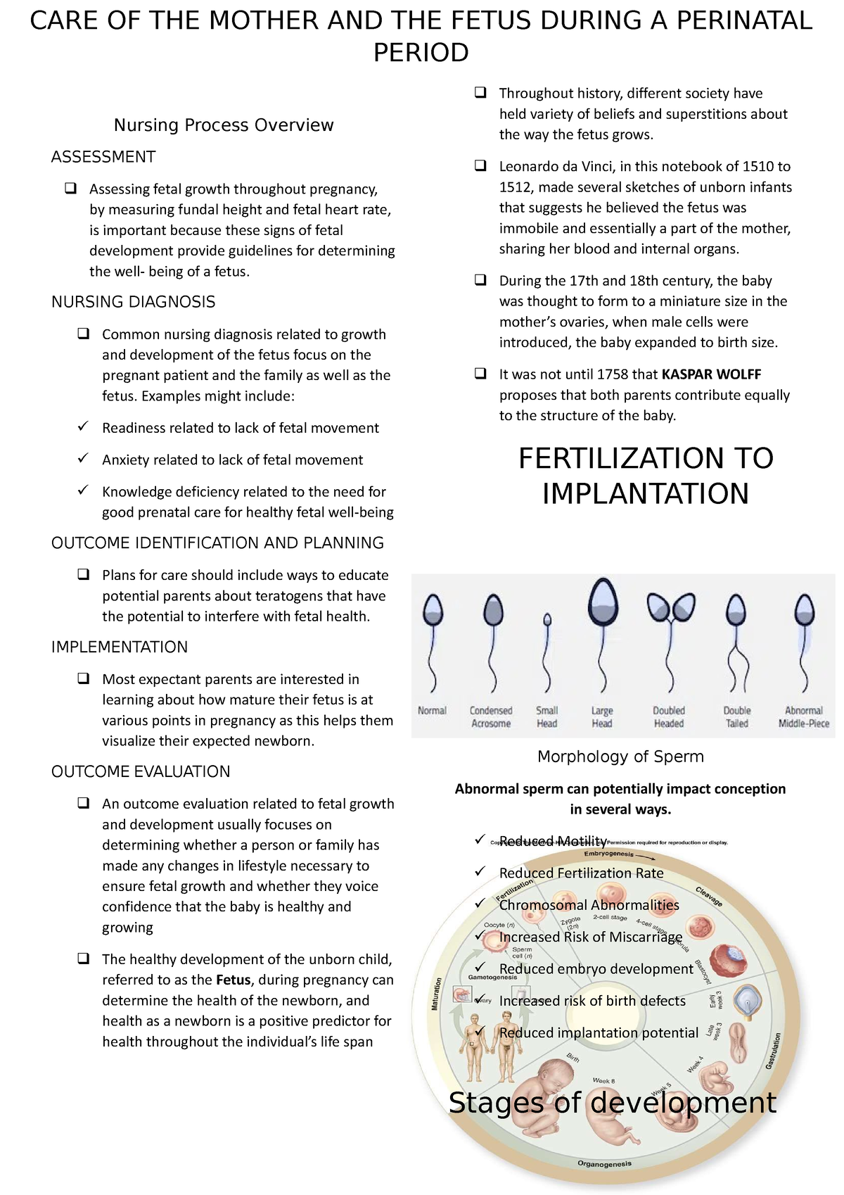 CARE OF THE Mother AND THE Fetus During A Perinatal Period ...