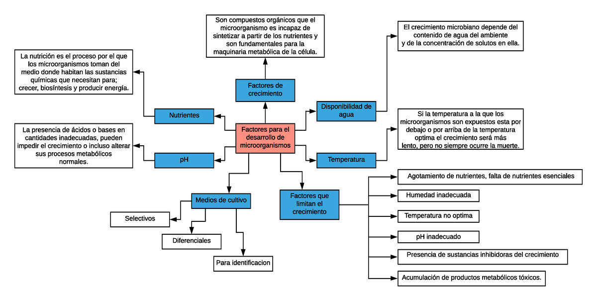 Factores Ambientales Que Afectan El Crecimiento Microbiano Hot Sex Picture 0497