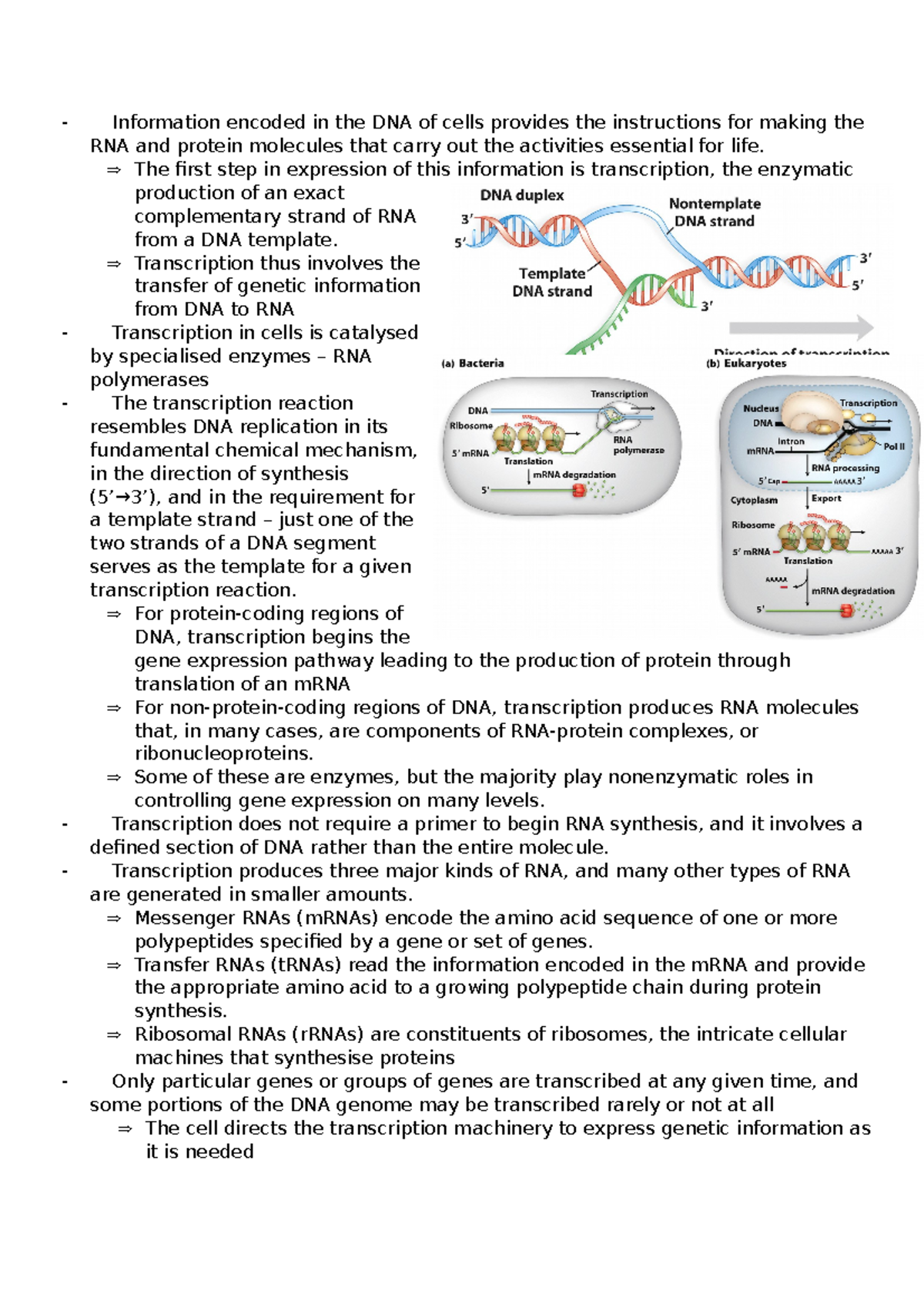 Notes - week 1-11 - Information encoded in the DNA of cells provides ...
