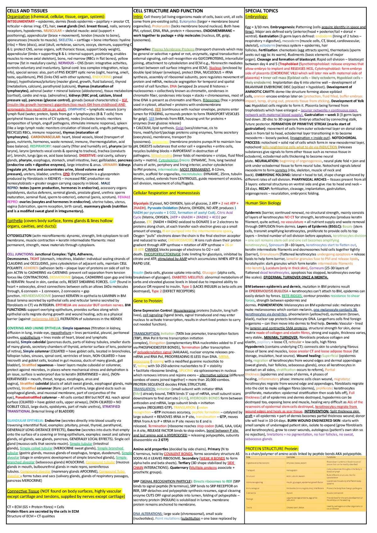 Biosci 107 Mid Term Summaries - CELLS AND TISSUES Organization ...