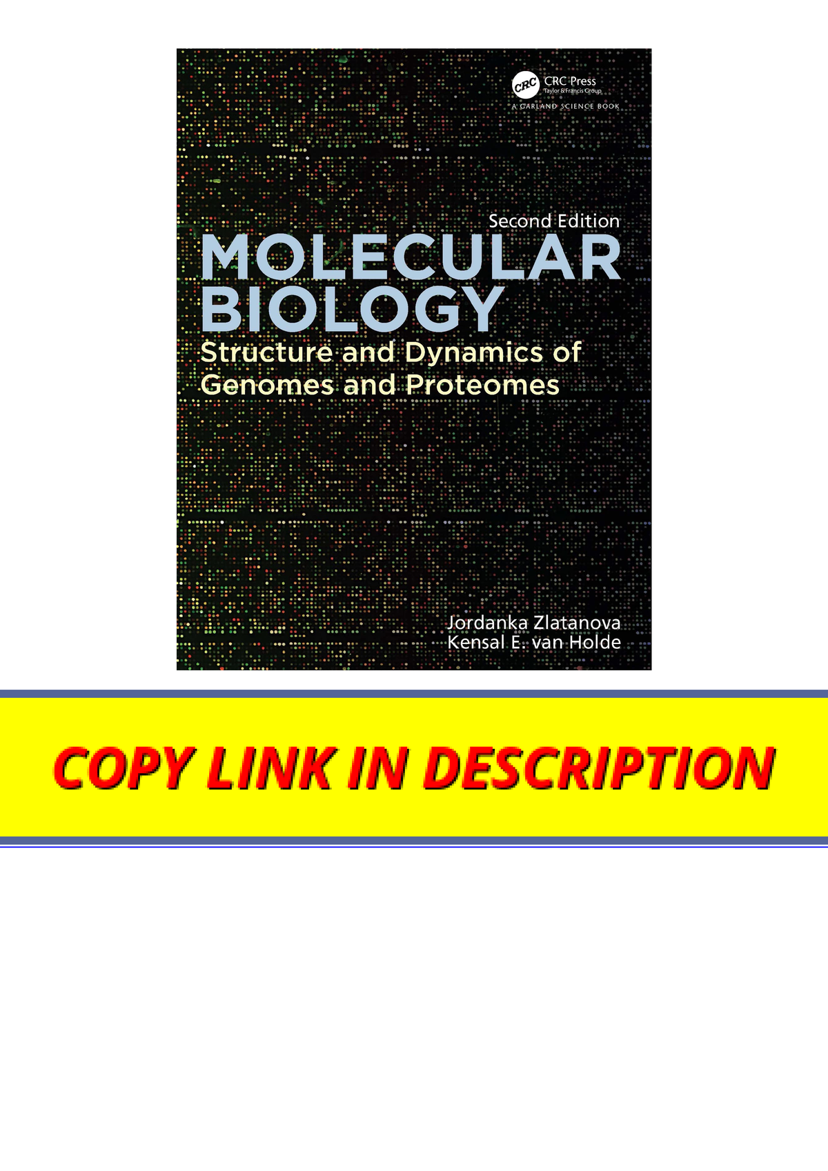 Download Molecular Biology Structure And Dynamics Of Genomes And ...