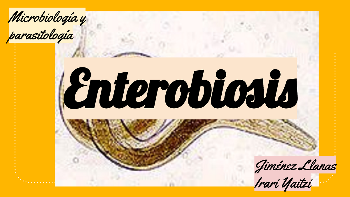Mi az enterobiózis a gyermekeknél. Enterobiosis (formák)
