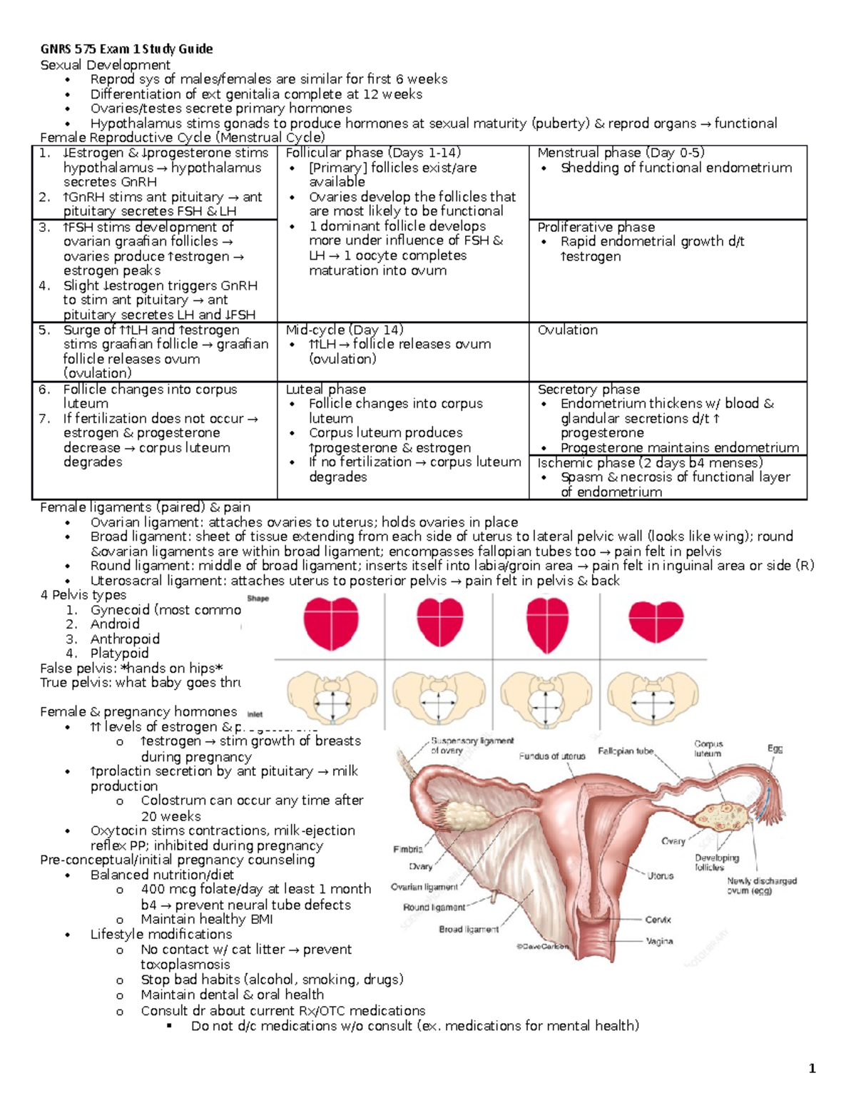 GNRS 575 - Exam 1 Study Guide - GNRS 575 Exam 1 Study Guide Sexual ...