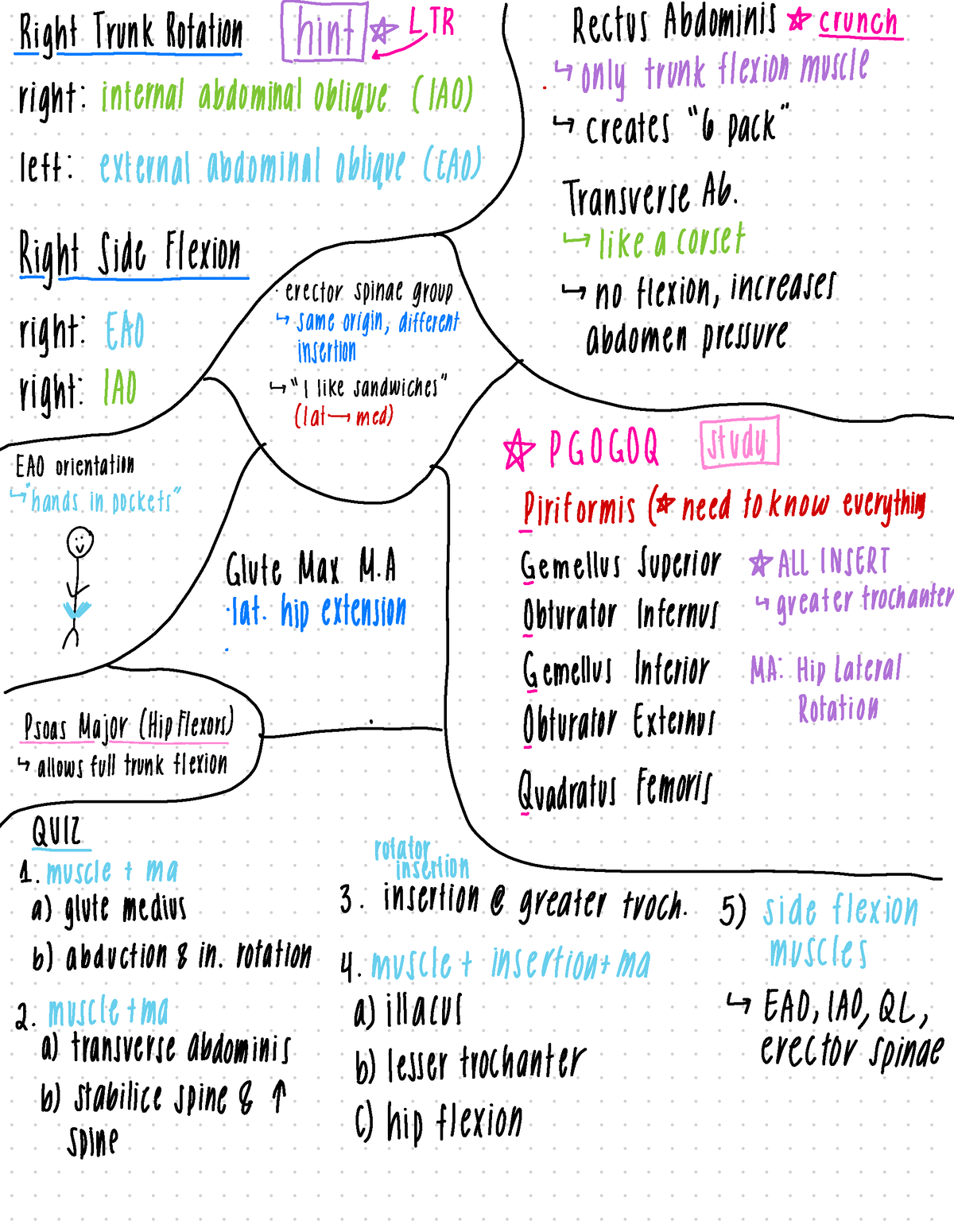 On the anatomy of vertebrates [electronic resource] . nalspace; the  contraction of the abdominal muscles must draw thebones inward so as to  compress the contents of the abdomen, andso far as