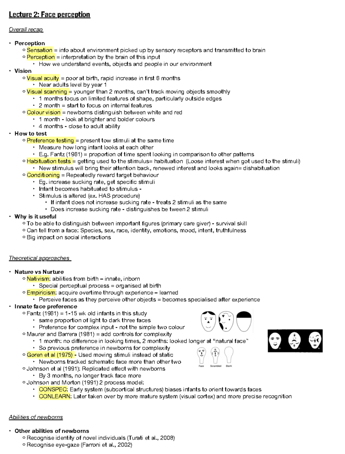 literature review on face perception