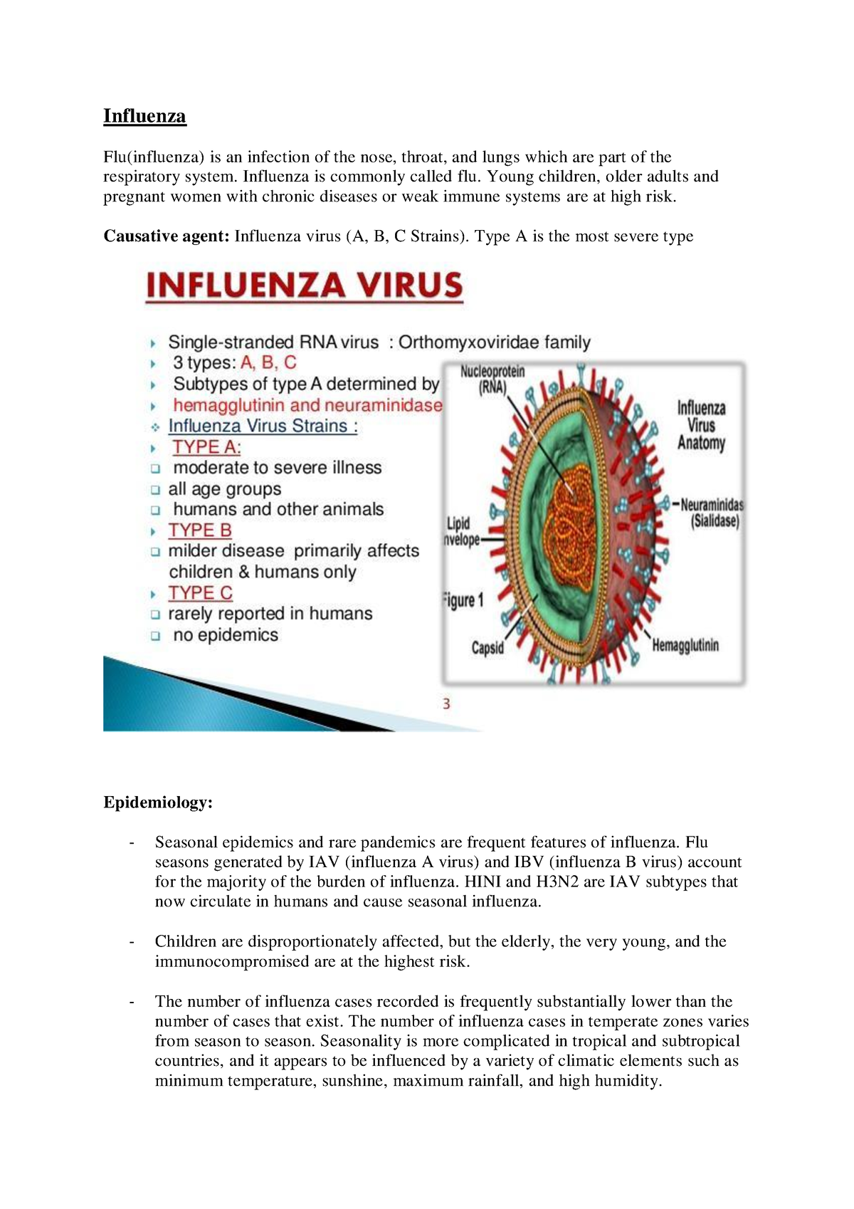 essay of influenza virus