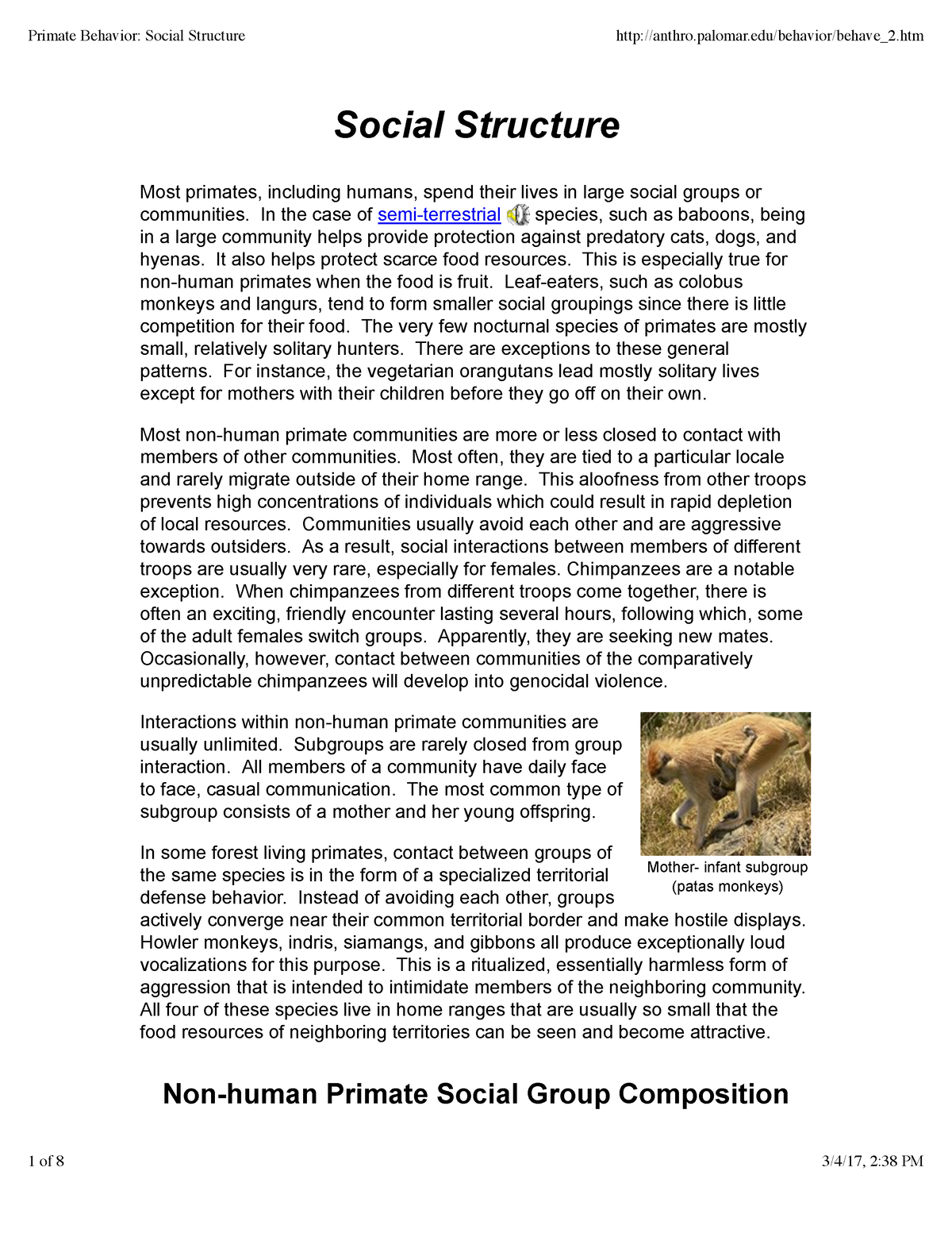 Primate Behavior Social Structure - Mother- infant subgroup (patas ...