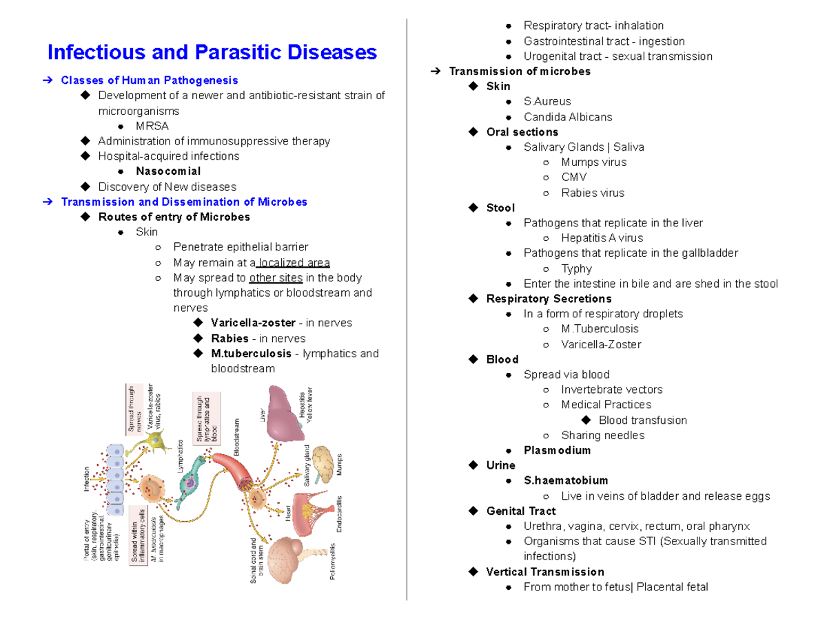 Infectious and parasitic diseases Pathology - Infectious and Parasitic ...