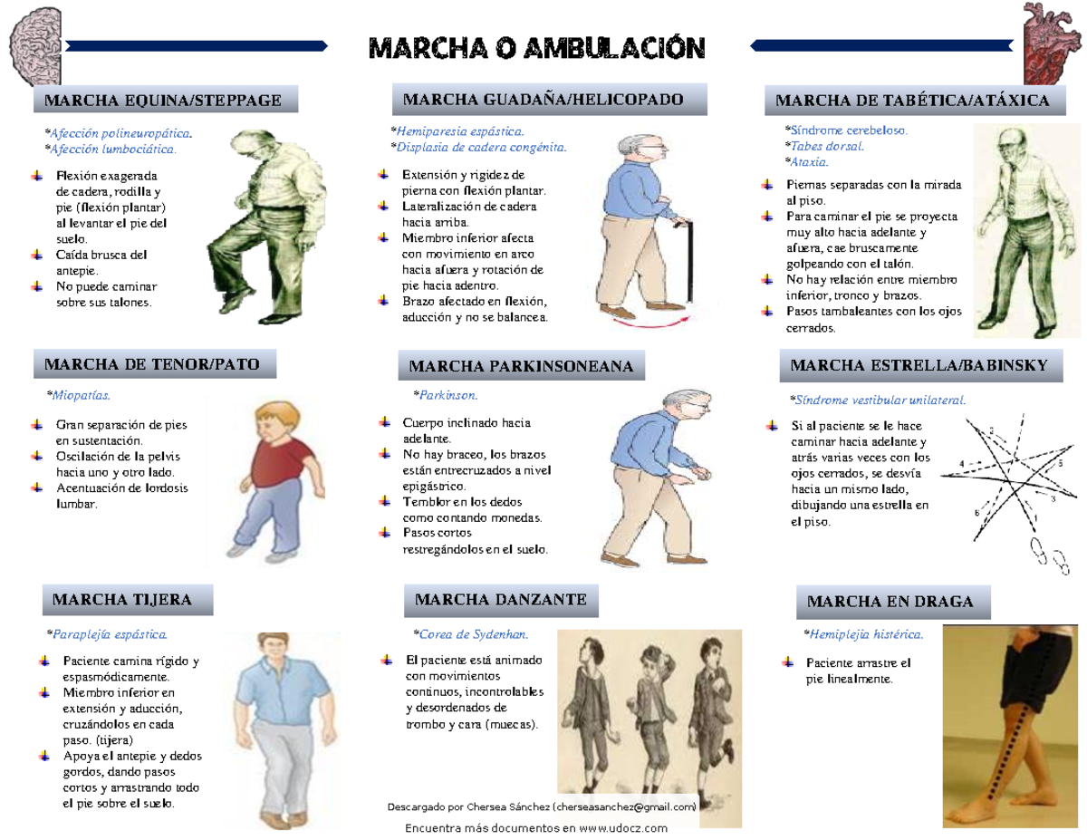Marcha o ambulación - Paciente camina rígido y espasmódicamente ...