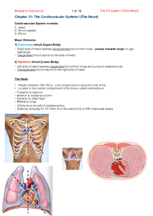 Practical 2 Cardiovascular System 2 Student There Are Two Parts To Practical 2 Cardiovascular System 2 Student There Are Two Parts To