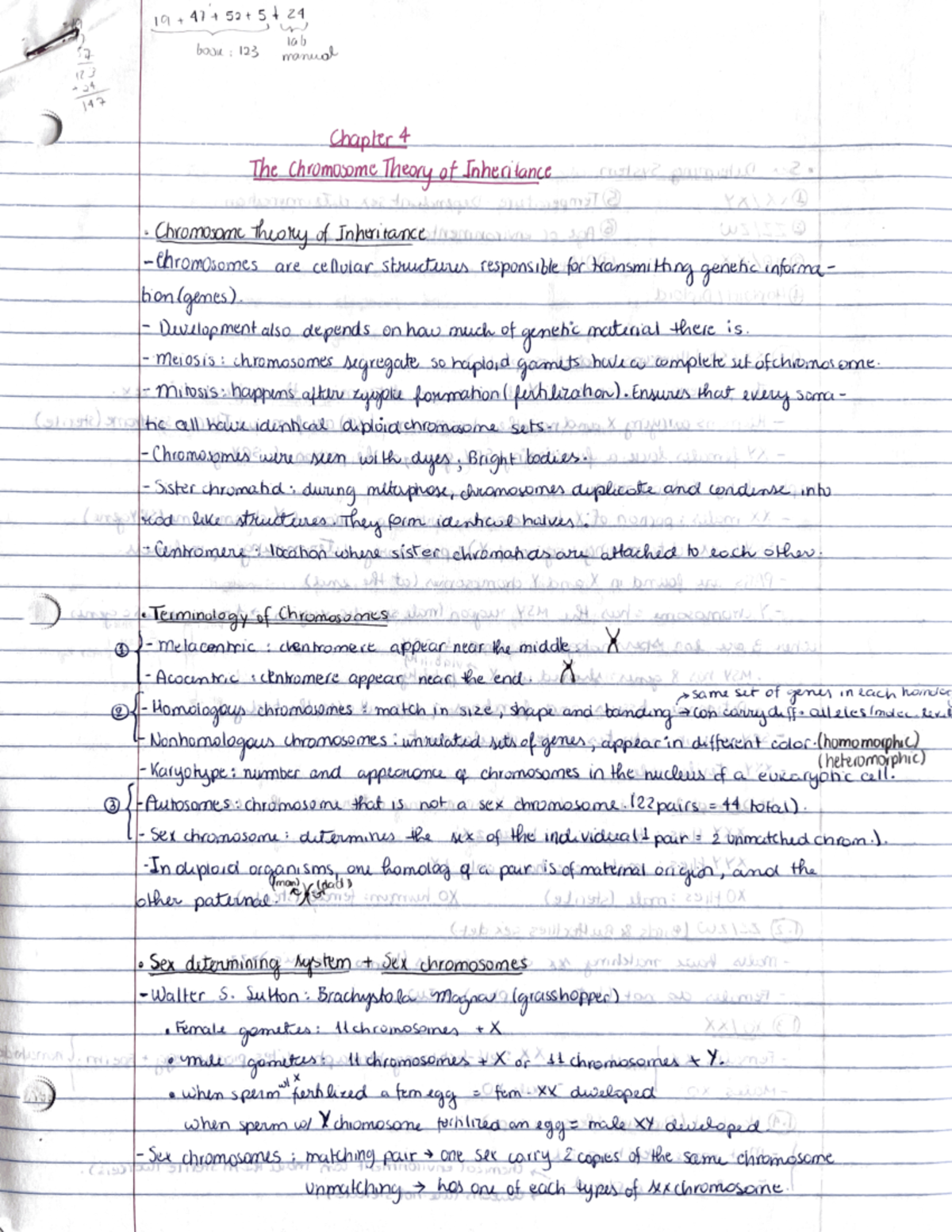 Chapter 4- The Chromosome Theory of Inheritance - BIOLOGY 332 - Studocu