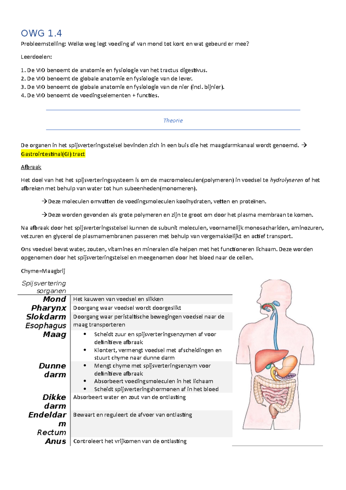 OWG 1.4 Spijsverteringsstelsel - OWG 1. Probleemstelling: Welke Weg ...