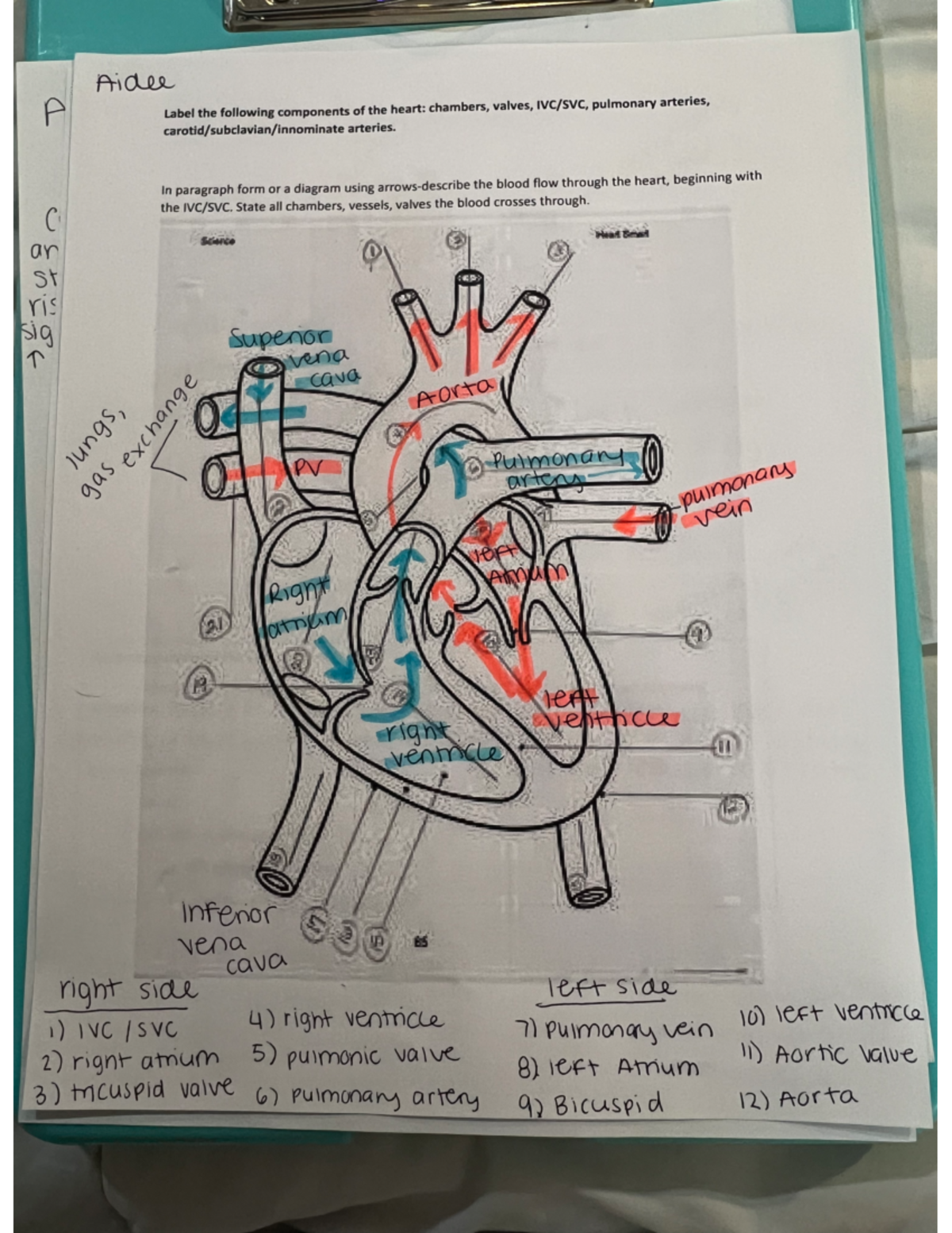 Label heart flow - med card - NUR 324 - Studocu