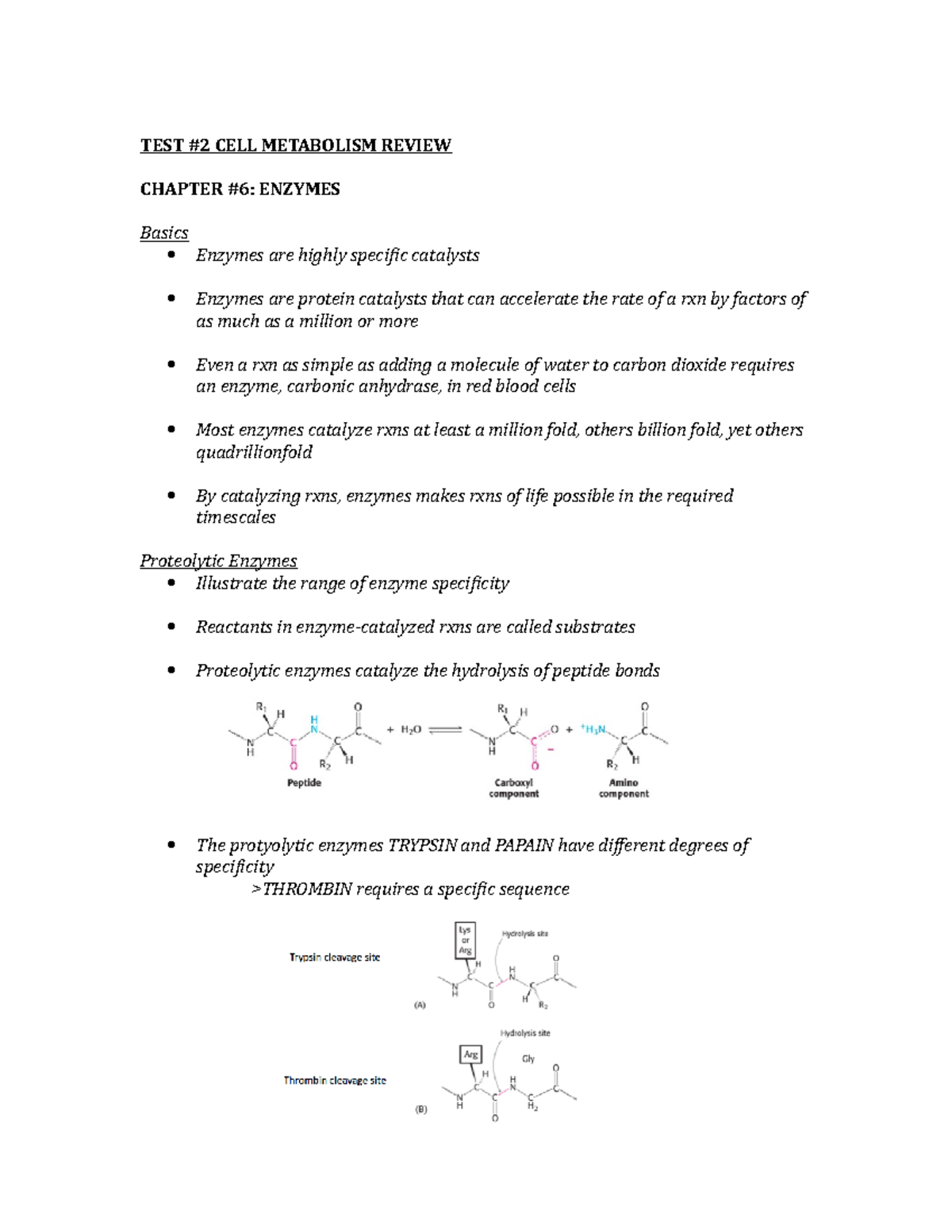 Cell Metabolism Test #2 Review - TEST #2 CELL METABOLISM REVIEW CHAPTER ...