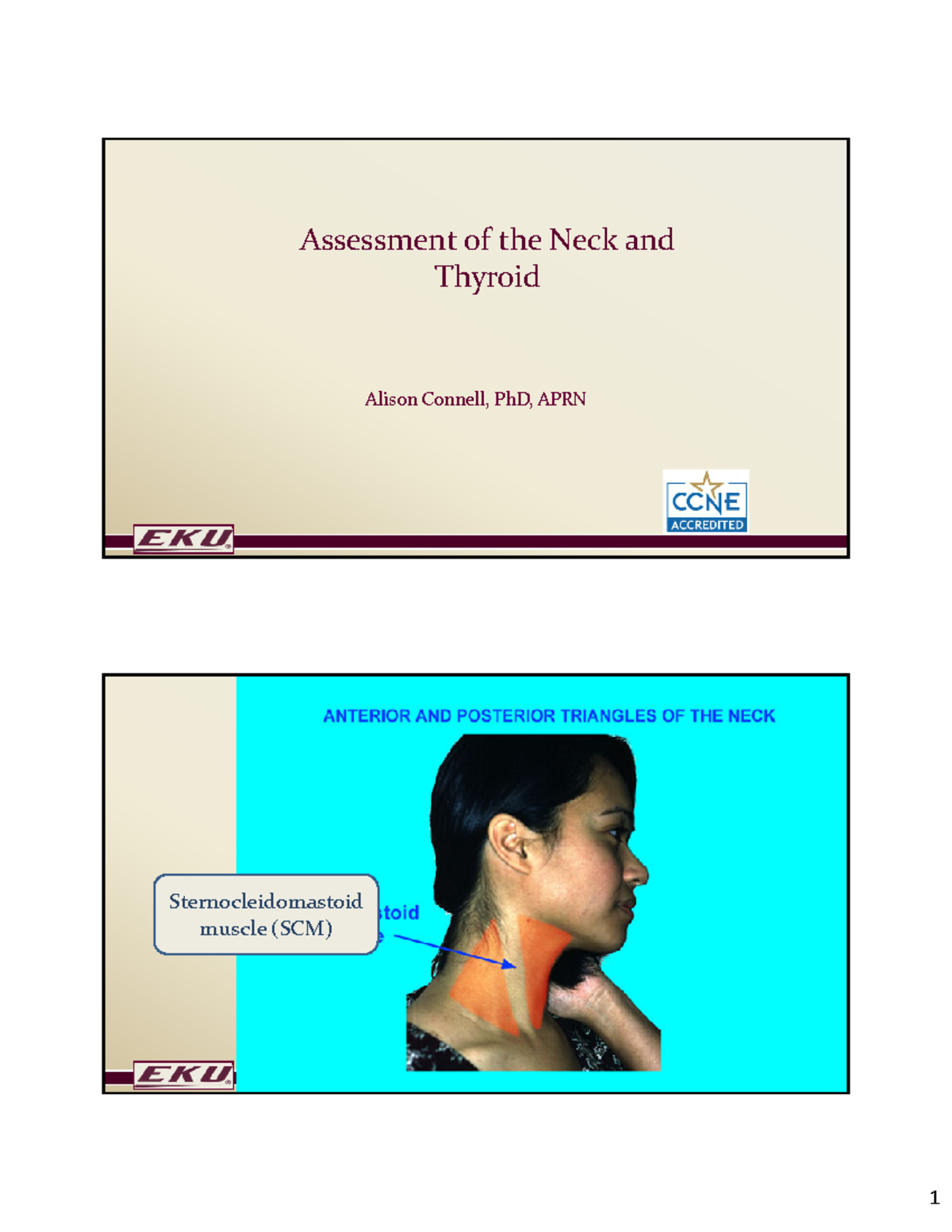 Neck and Thyroid Handout - Assessment of the Neck and Thyroid Alison ...