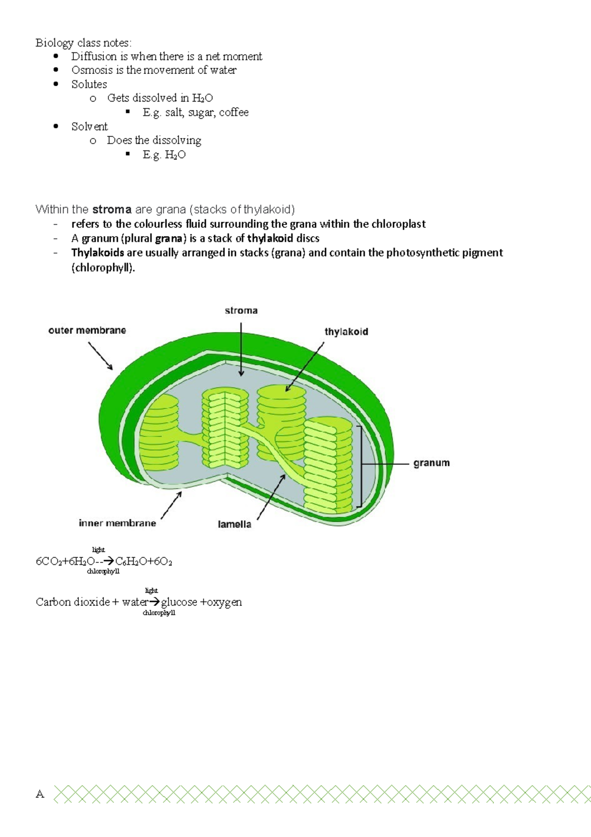Biology Class Notes Biology Class Notes Diffusion Is When There Is A 
