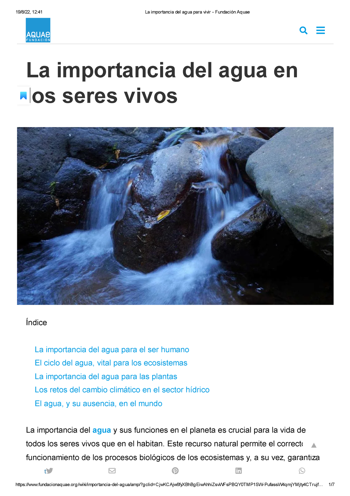 La Importancia Del Agua Para Vivir Fundación Aquae La Importancia Del Agua En Los Seres 2464