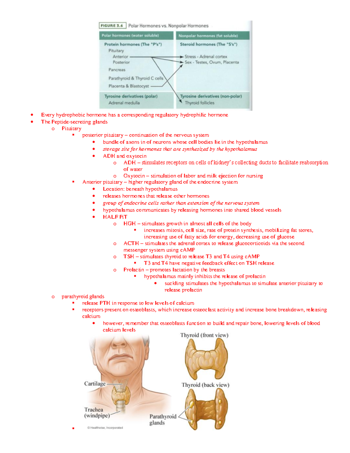 Lecture notes detailed content (1) 10-10 - Every hydrophobic hormone ...