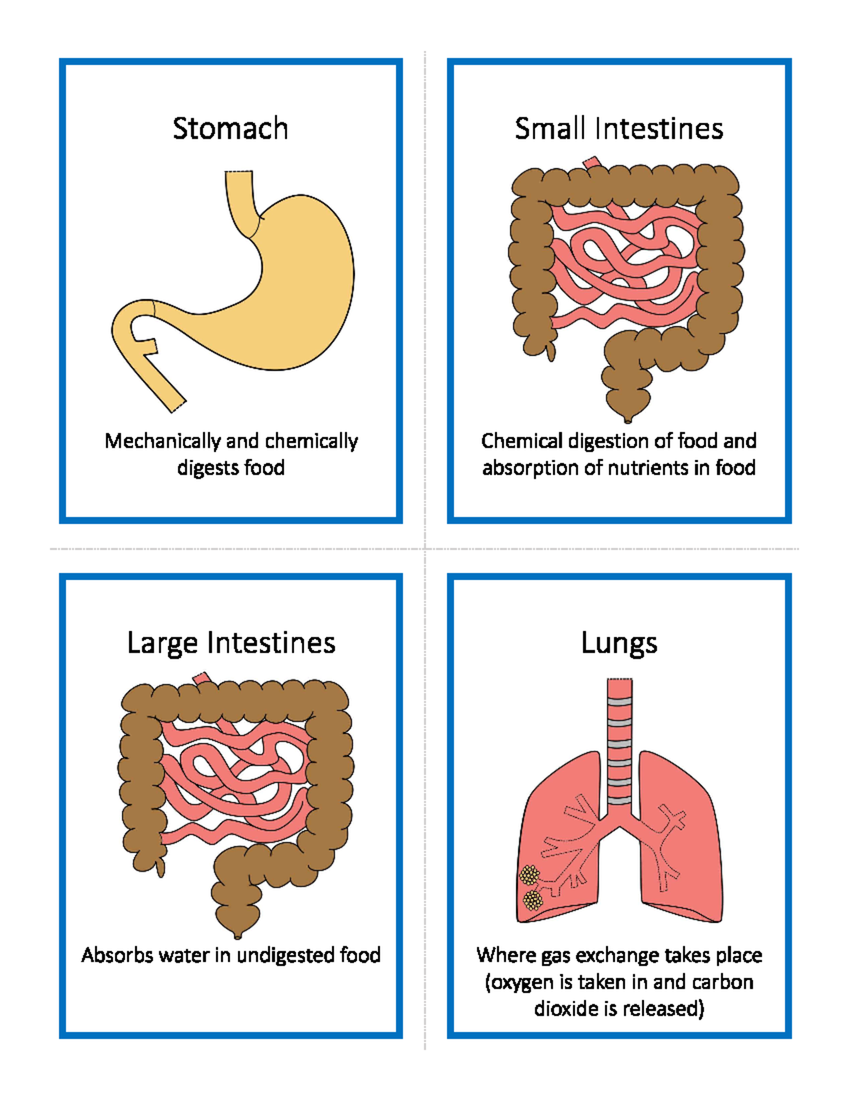Blue+and+Yellow+Cards Studocu